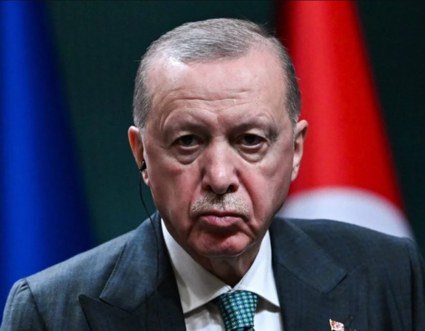 Erdoğan Meets BlackRock CEO Amid Global Economic Turmoil Fueled by Middle East War