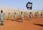The Idlib Fracture: Why Syria's Forced Integration of Foreign Jihadists Is Triggering Internal Involutions