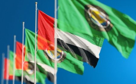 Gulf Economies Accelerate Diversification Amid Oil Market Uncertainty