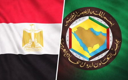 Egypt’s joint Arab force plan faces Gulf backlash amid Iran war