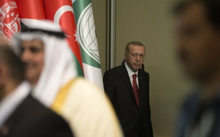 Opinion leaders debate Turkey's expanding regional influence