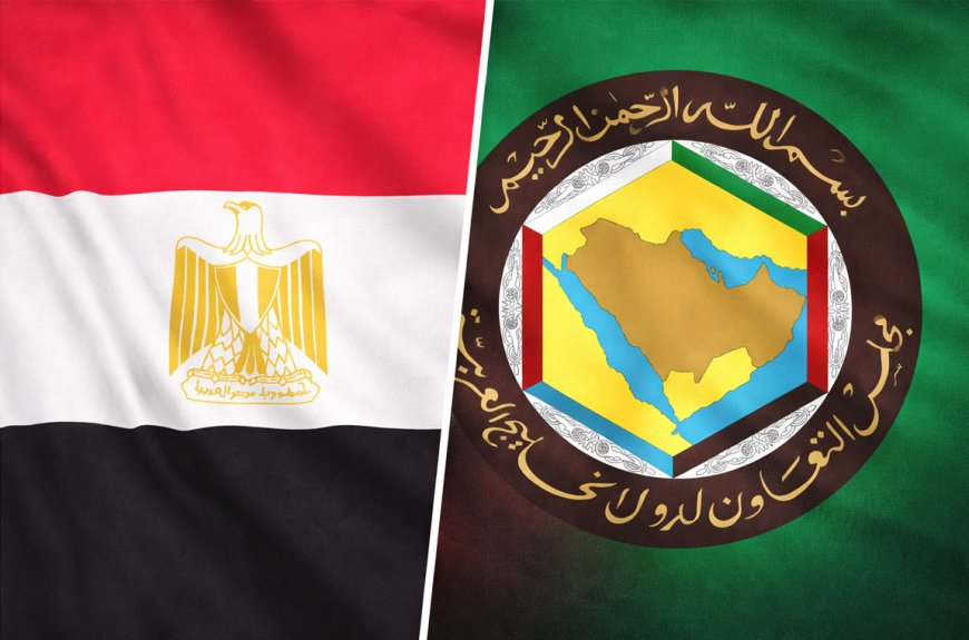 Egypt’s joint Arab force plan faces Gulf backlash amid Iran war