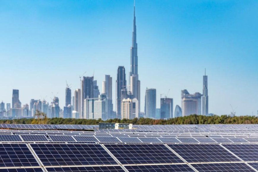 UAE renewable energy expansion attracts foreign investors